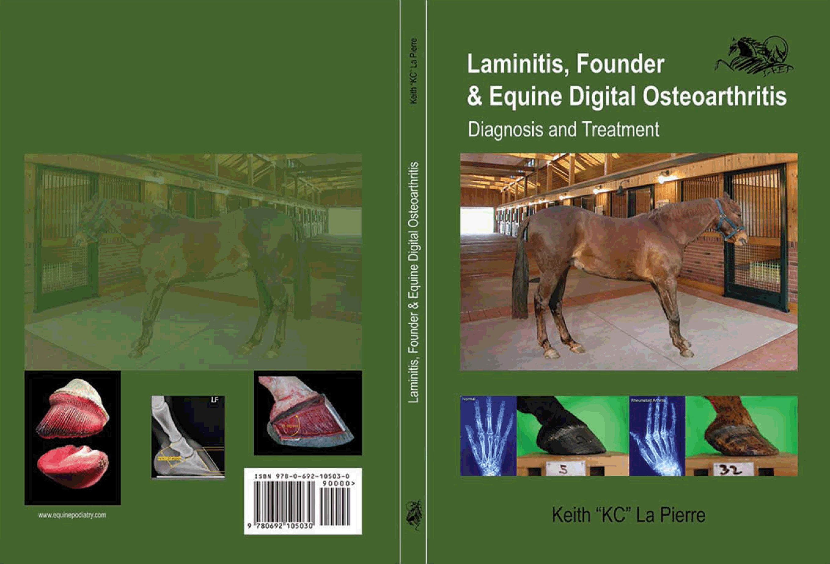 Laminitis, Founder, Equine Digital Osteoarthritis